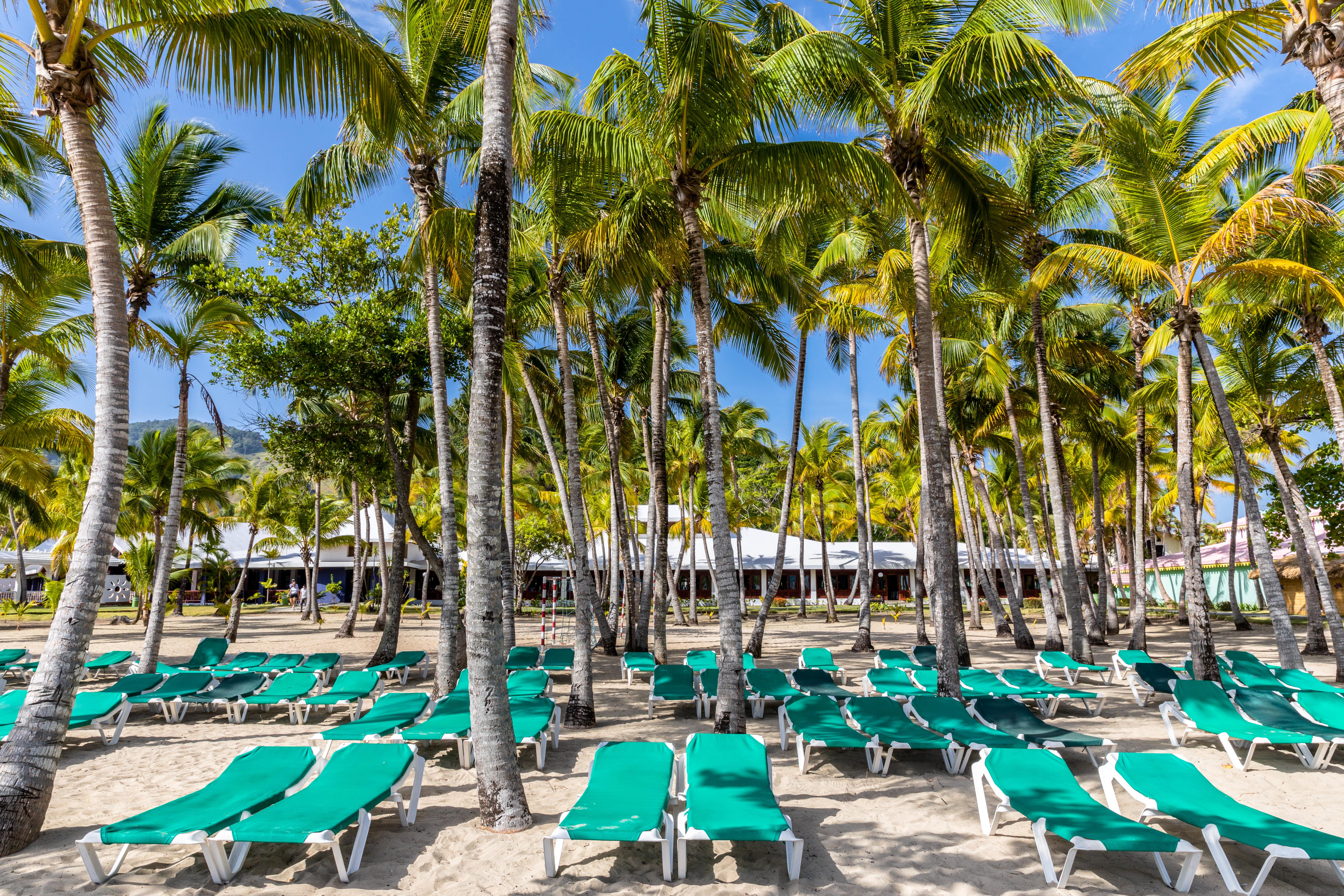 Playabachata Puerto Plata ภายนอก รูปภาพ Palm trees at the beach